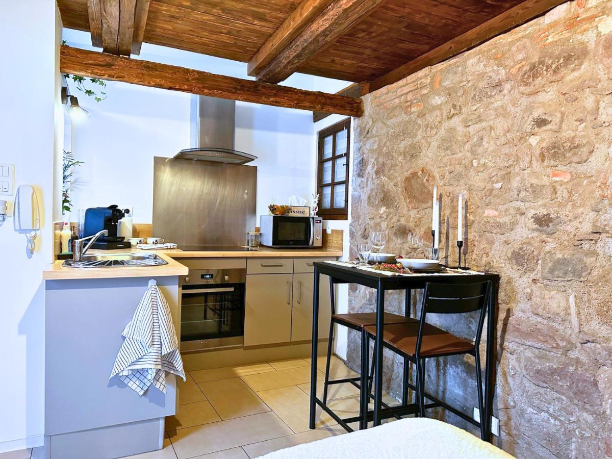Le Petit Chataignier - Cozy Immo Châtenois Exterior foto